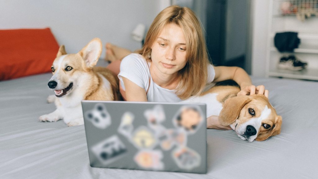 Compra online en categoría de mascotas se acelera
