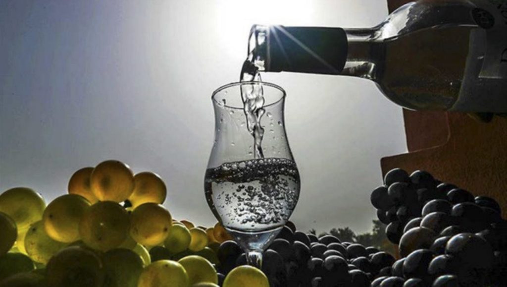 Exportaciones peruanas de pisco crecieron 53 % hasta septiembre