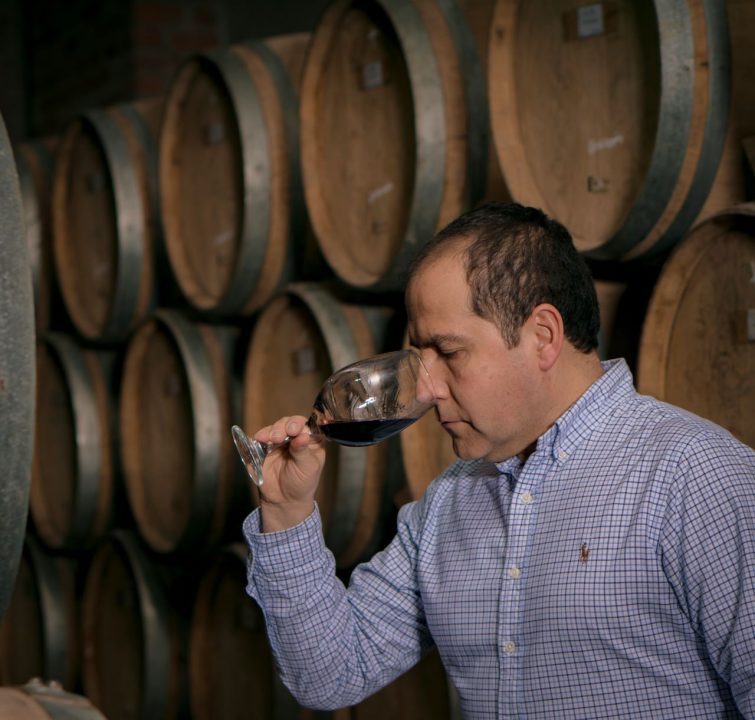 viñedos uvas