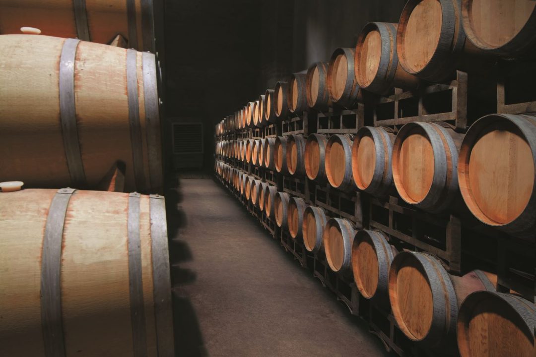 uvas viñedos